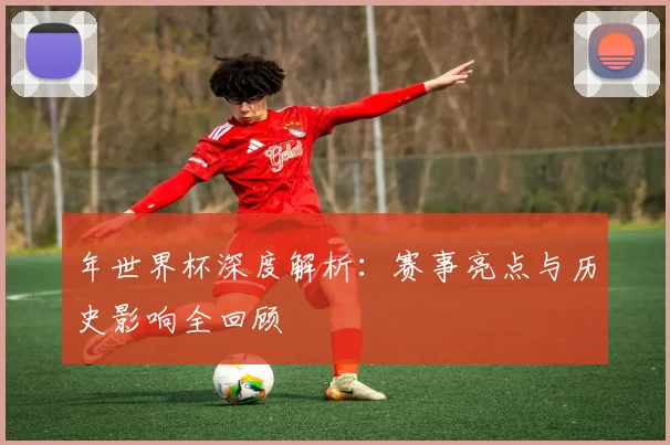 年世界杯深度解析：赛事亮点与历史影响全回顾