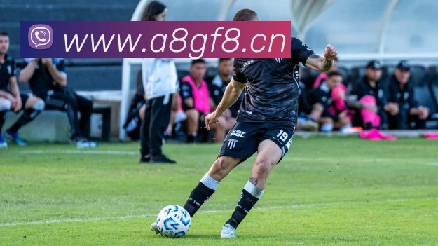 milan米兰app官网入口APP 封面图